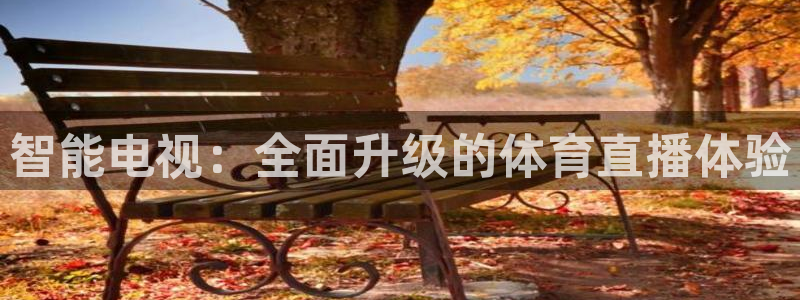 智能电视：全面升级的体育直播体验