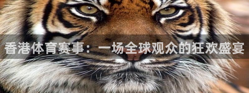 香港体育赛事：一场全球观众的狂欢盛宴