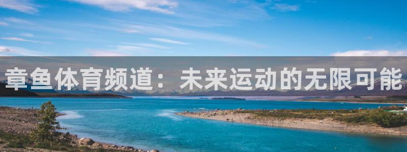 章鱼体育频道：未来运动的无限可能