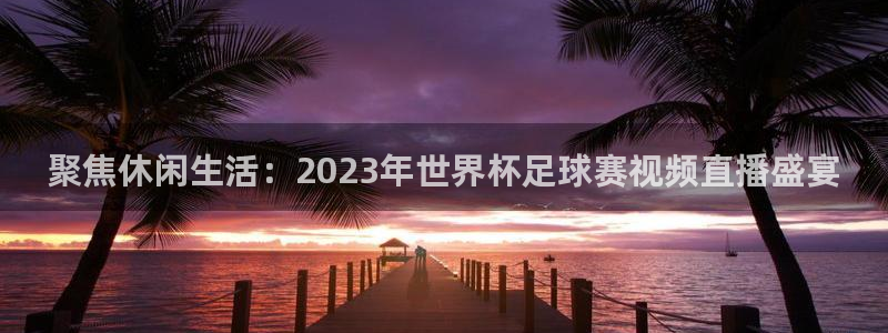 聚焦休闲生活：2023年世界杯足球赛视频直播盛宴
