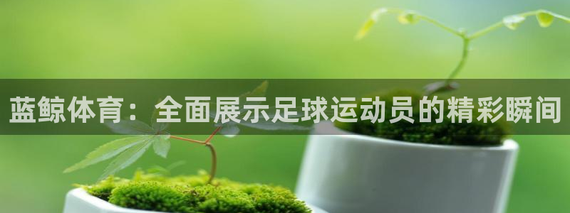 蓝鲸体育：全面展示足球运动员的精彩瞬间
