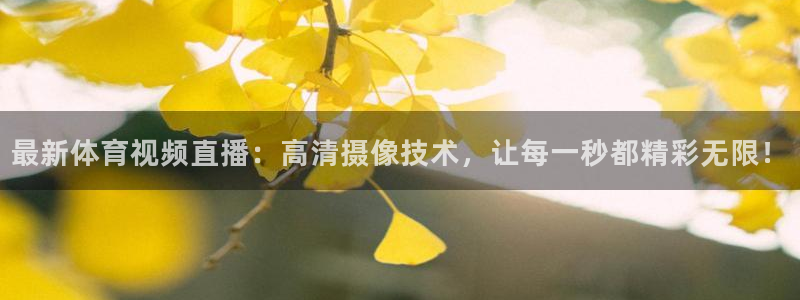 最新体育视频直播：高清摄像技术，让每一秒都精彩无限！