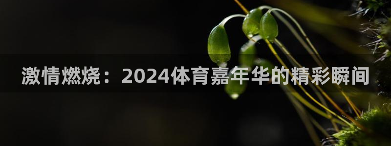 激情燃烧：2024体育嘉年华的精彩瞬间