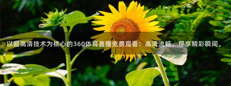 以超高清技术为核心的360体育直播免费观看：高清流畅，尽享精彩瞬间。