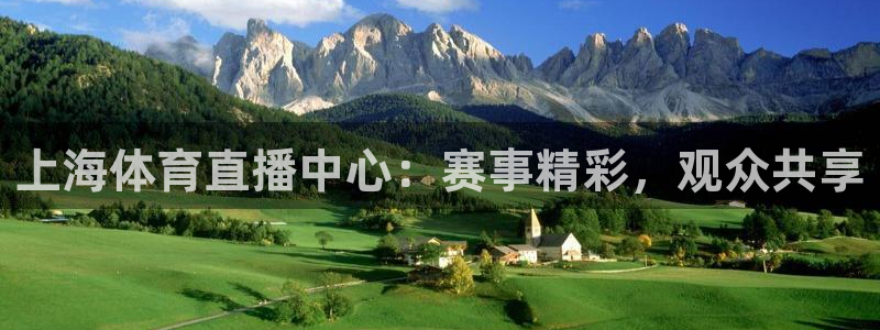上海体育直播中心：赛事精彩，观众共享