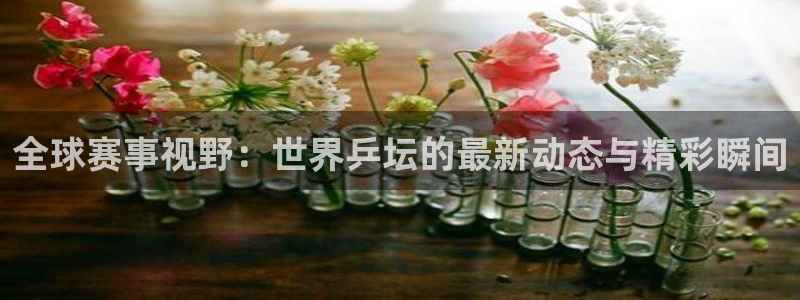 全球赛事视野：世界乒坛的最新动态与精彩瞬间
