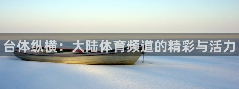 台体纵横：大陆体育频道的精彩与活力