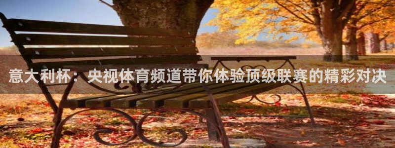 意大利杯：央视体育频道带你体验顶级联赛的精彩对决