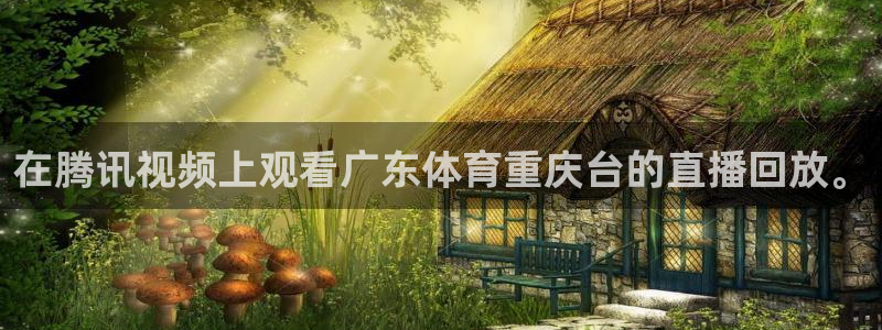 在腾讯视频上观看广东体育重庆台的直播回放。