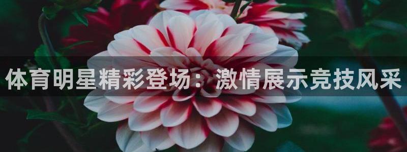 体育明星精彩登场：激情展示竞技风采