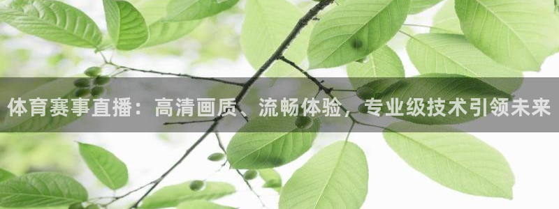体育赛事直播：高清画质、流畅体验，专业级技术引领未来