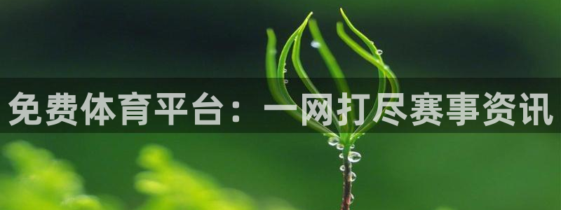 免费体育平台：一网打尽赛事资讯