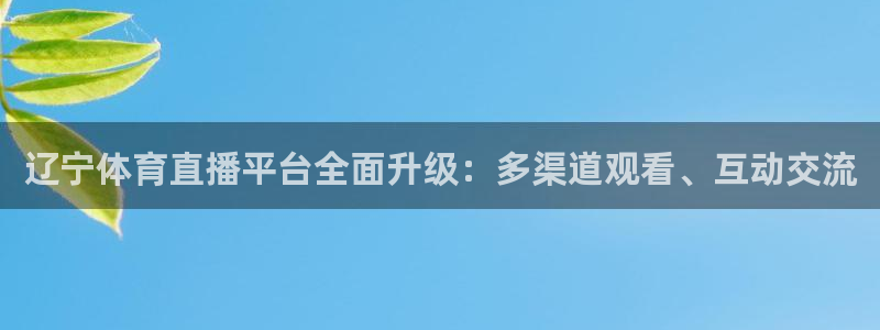 辽宁体育直播平台全面升级：多渠道观看、互动交流