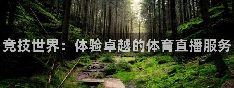 竞技世界：体验卓越的体育直播服务