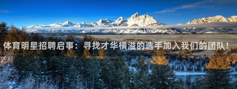 体育明星招聘启事：寻找才华横溢的选手加入我们的团队！