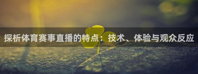 探析体育赛事直播的特点：技术、体验与观众反应