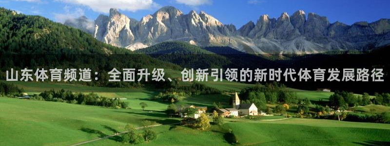 山东体育频道：全面升级、创新引领的新时代体育发展路径