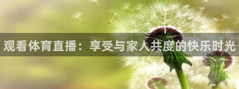 观看体育直播：享受与家人共度的快乐时光