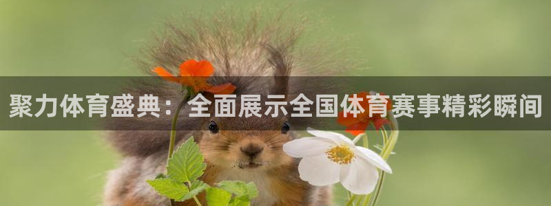 聚力体育盛典：全面展示全国体育赛事精彩瞬间