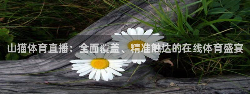 山猫体育直播：全面覆盖、精准触达的在线体育盛宴