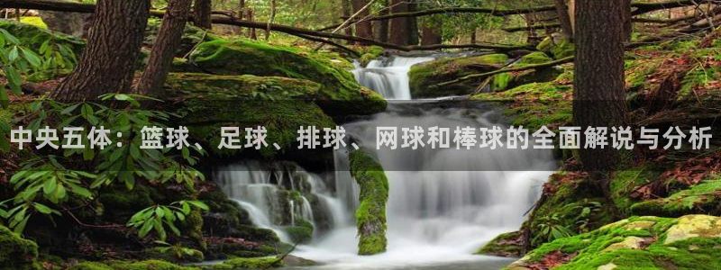 中央五体：篮球、足球、排球、网球和棒球的全面解说与分析