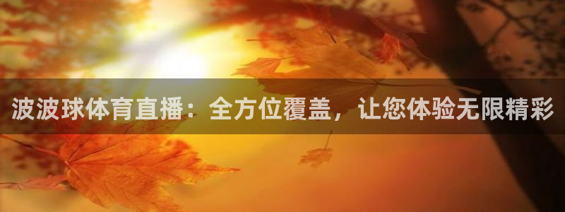 波波球体育直播：全方位覆盖，让您体验无限精彩