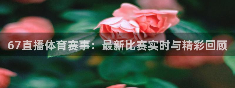 67直播体育赛事：最新比赛实时与精彩回顾