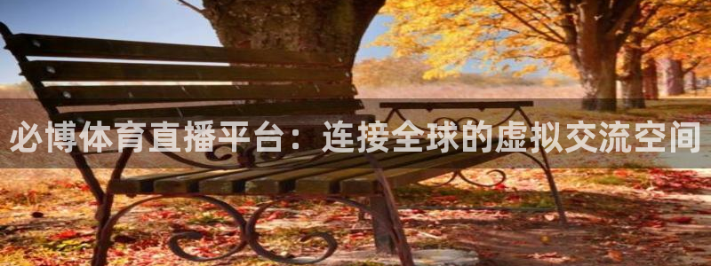 必博体育直播平台：连接全球的虚拟交流空间