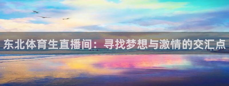 东北体育生直播间：寻找梦想与激情的交汇点