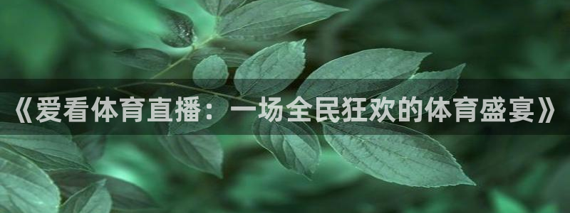 《爱看体育直播：一场全民狂欢的体育盛宴》