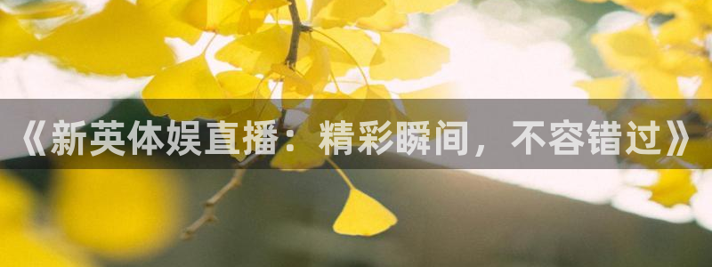 《新英体娱直播：精彩瞬间，不容错过》