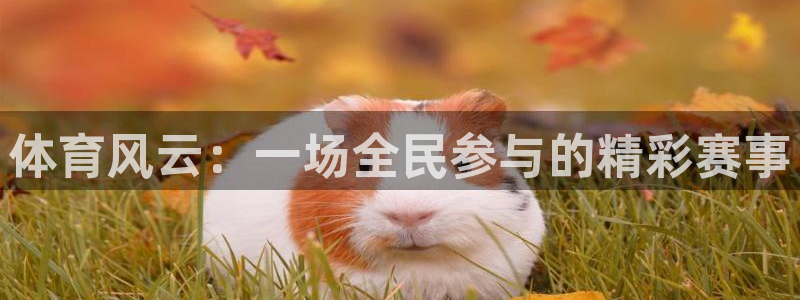 体育风云：一场全民参与的精彩赛事