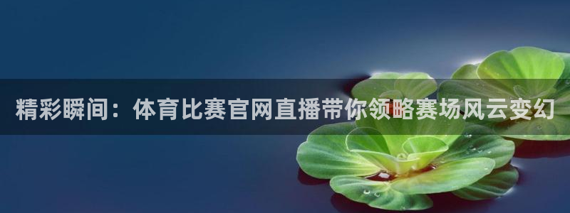 精彩瞬间：体育比赛官网直播带你领略赛场风云变幻