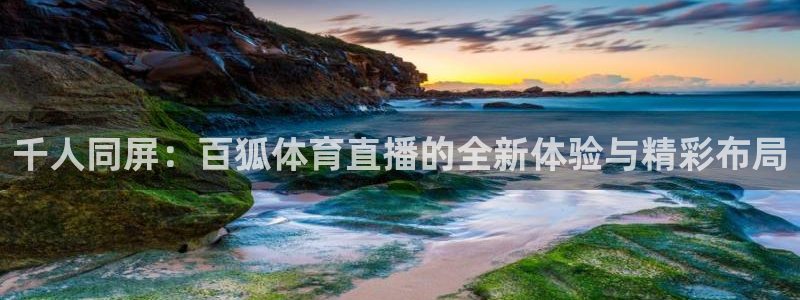 千人同屏：百狐体育直播的全新体验与精彩布局