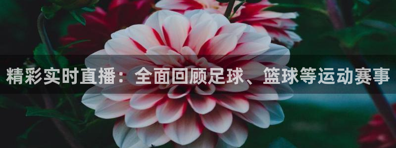 精彩实时直播：全面回顾足球、篮球等运动赛事