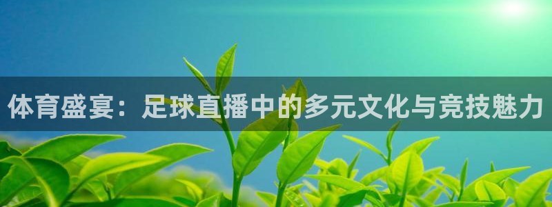 体育盛宴：足球直播中的多元文化与竞技魅力