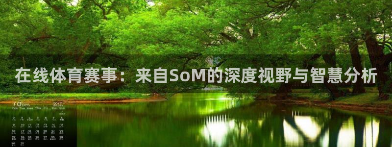在线体育赛事：来自SoM的深度视野与智慧分析